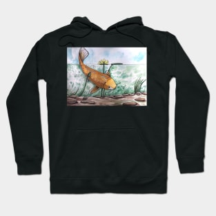 orange koifish Hoodie